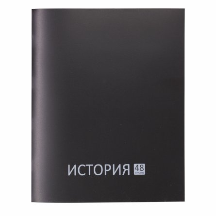 Комплект предметных тетрадей А5 48л., 12 предметов, со справ. матер, скрепка, цветная пластиковая обложка, блок офсет, Alingar "Стильная классика" фото 3