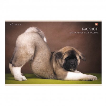 Блокнот для эскизов А4 40л., Канц-Эксмо, на скрепке, мелованный картон, "Забавный щенок" фото 1