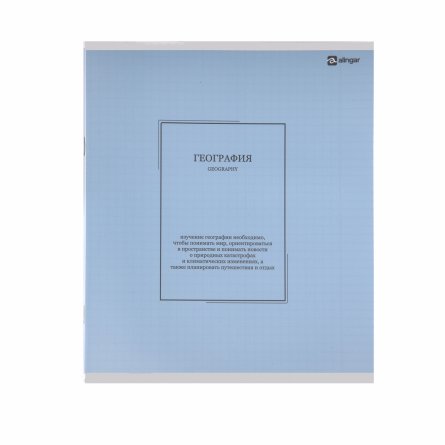 Комплект предметных тетрадей А5 48л., 10 предметов, со справ. матер, скрепка, пластиковая прозрачная обложка, блок офсет,Alingar "Classic NEW" фото 27