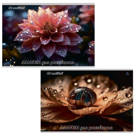 Альбом для рисования А4 40л., Alingar, на скрепке, мелованный картон (стандарт), 100 г/м2,  "Цветы", 2 дизайна в пленке т/у фото 1