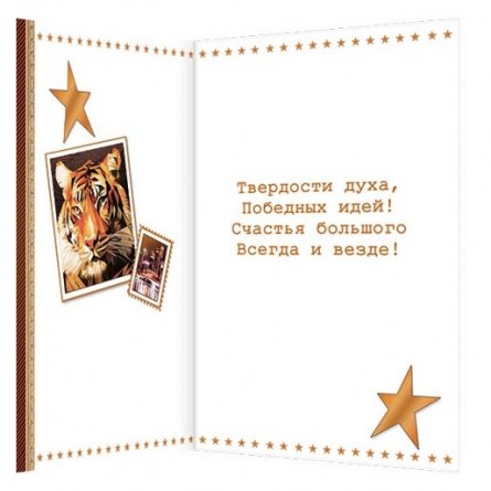Открытка Мир открыток "Покорителю всех высот", фольга золото, рельеф 194*251 мм фото 2