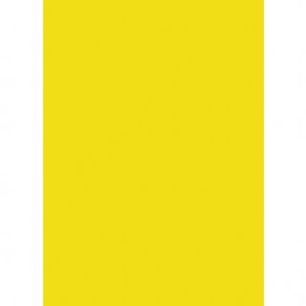 Бумага цветная для офиса А4, 50л., Интенсив "Жёлтый", Alingar, 80г/м2, пленка т/у фото 2