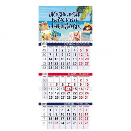 Календарь квартальный на 1 гребне 3-х блоч. 2-х цветов" Жизнь любит тех,кто 2021 г." с бегунком фото 1
