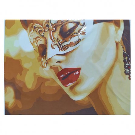 Картина по номерам Рыжий кот, 30х40 см, с акриловыми красками, холст, "Девушка в золотой маске" фото 1