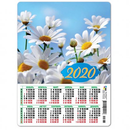 Календарь-магнит А5 Квадра "Прекрасные цветы" 2020 г. фото 1