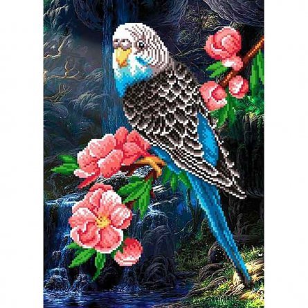Набор для вышивания на габардине, М. П Студия, 50*40/35*25 см, бисер 20 цветов (приобретается отдельно), инструкция, "Волнистый попугай" фото 1